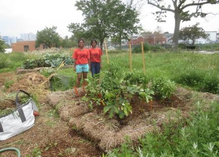 August 2013: Why Earth Matter Matters by Shaalini