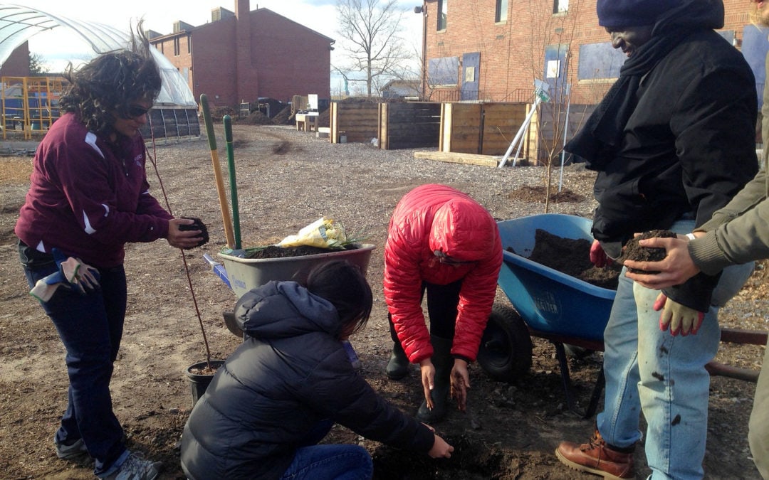 March 2015: The Raven Orchard