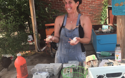 Winter 2016: Meredith Levine