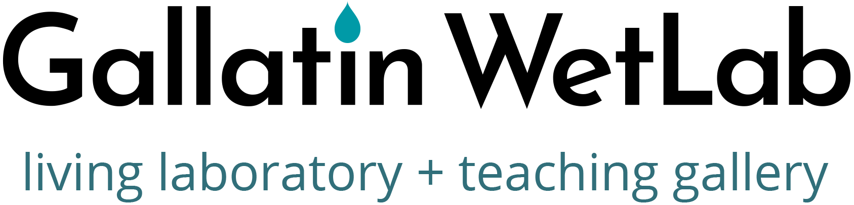 wetlab_nyu-gallatin-logo-1_2024